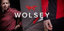 Wolsey